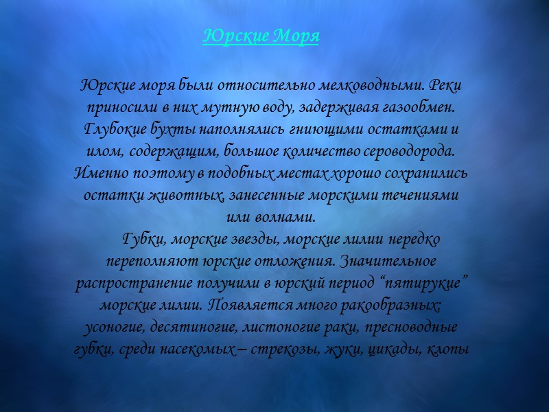 Юрские Моря  Юрские моря были относительно мелководными. Реки приносили в них мутную воду,